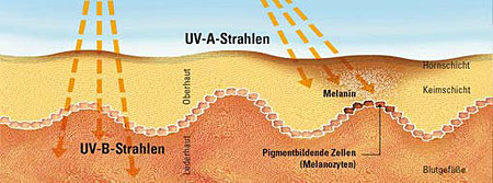 UV-A-Strahlen Grafik